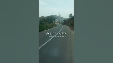#قران_كريم #تلاوة_خاشعة #راحة_نفسية #ماهر_المعيقلي #متابعه_ولايك_فضلا_وليس_امرآ #صلوا_على_النبي