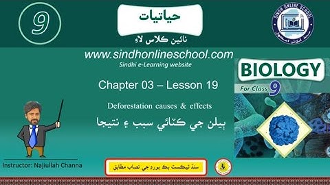 Deforestation causes & effects | Biology Class 9| Chapter 3| Lecture 19 | Sindh Online School