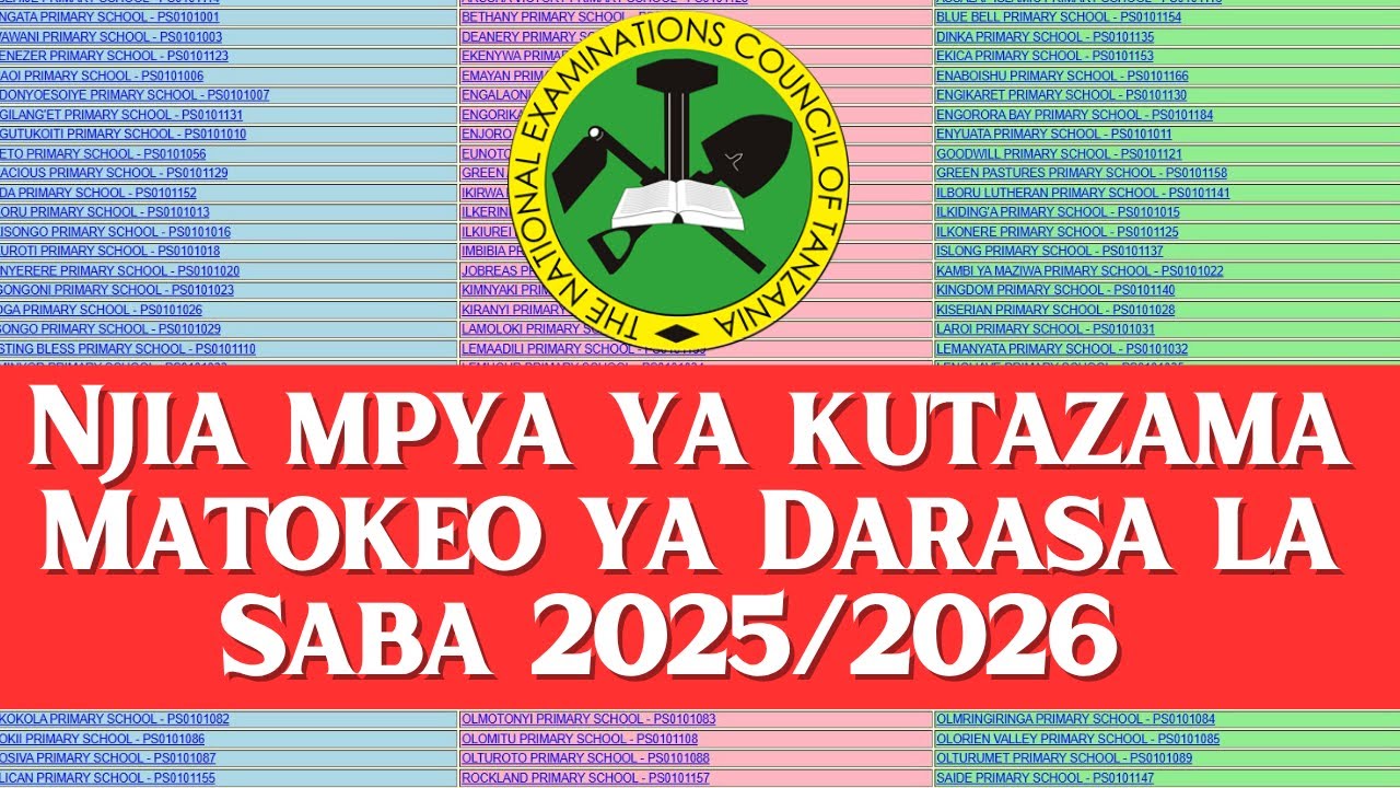 Matokeo ya mitihani Wa Darasa la Saba 2025/2026 NECTA PSLE Results ...