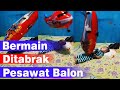 Bermain Ditabrak Pesawat Balon