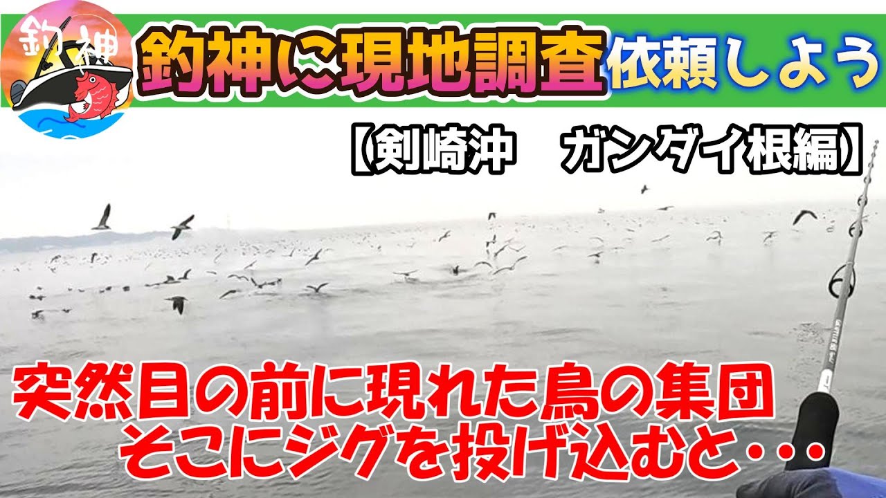 【東京湾】マイボートで調査に行ったらそこはナブラの聖地だった！