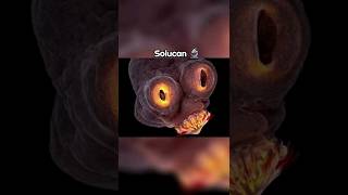 Daha Yakından Bak... Resimi