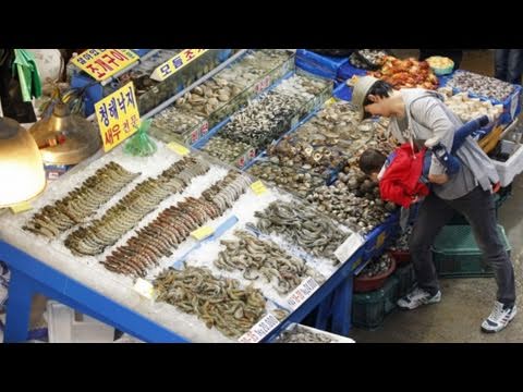 فيديو: اليابان تحدد حدود الأمان للإشعاع في الأسماك