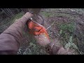Death Wish timber falling with the husqvarna 562xp