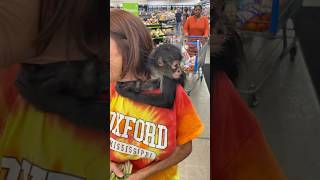 So Bae Went To Walmart In Saw A Baby Monkey