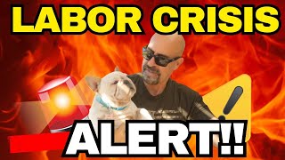 PREPARE FOR MASS FIRINGS THIS IS BAD - AMERICANS STRUGGLE TO FIND A JOB