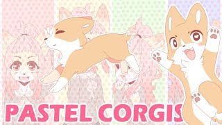 {PASTEL CORGIS} || corgi animation meme || (OLD)