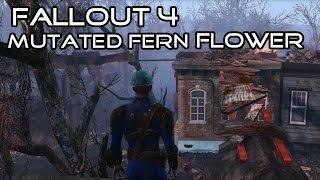 Fallout 4 Bring a Mutated Fern Flower to Solomon screenshot 3