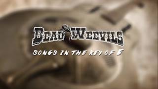 Charlie Daniels - Beau Weevils - What Critics Are Saying