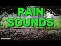 Rain and Thunder Sounds 8 Hours High Quality HD 1080p