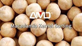 Macadamia Kernel Sorting