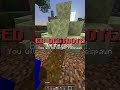 Be the good. #minecraft #kindness #hopecore #fireballjutsu #anime