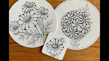 Pangea Pepper Blooms Part I Tangle Tutorial with Annie Reiser, CZT