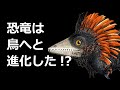 【解説】恐竜は鳥へと進化した!?