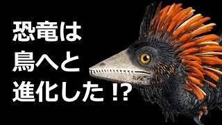 【解説】恐竜は鳥へと進化した!?