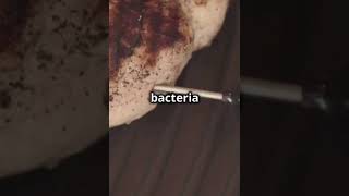 What you should know about E. Coli...