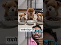 #funnystatus