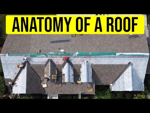 Video: Vad är skevheter på ett tak?
