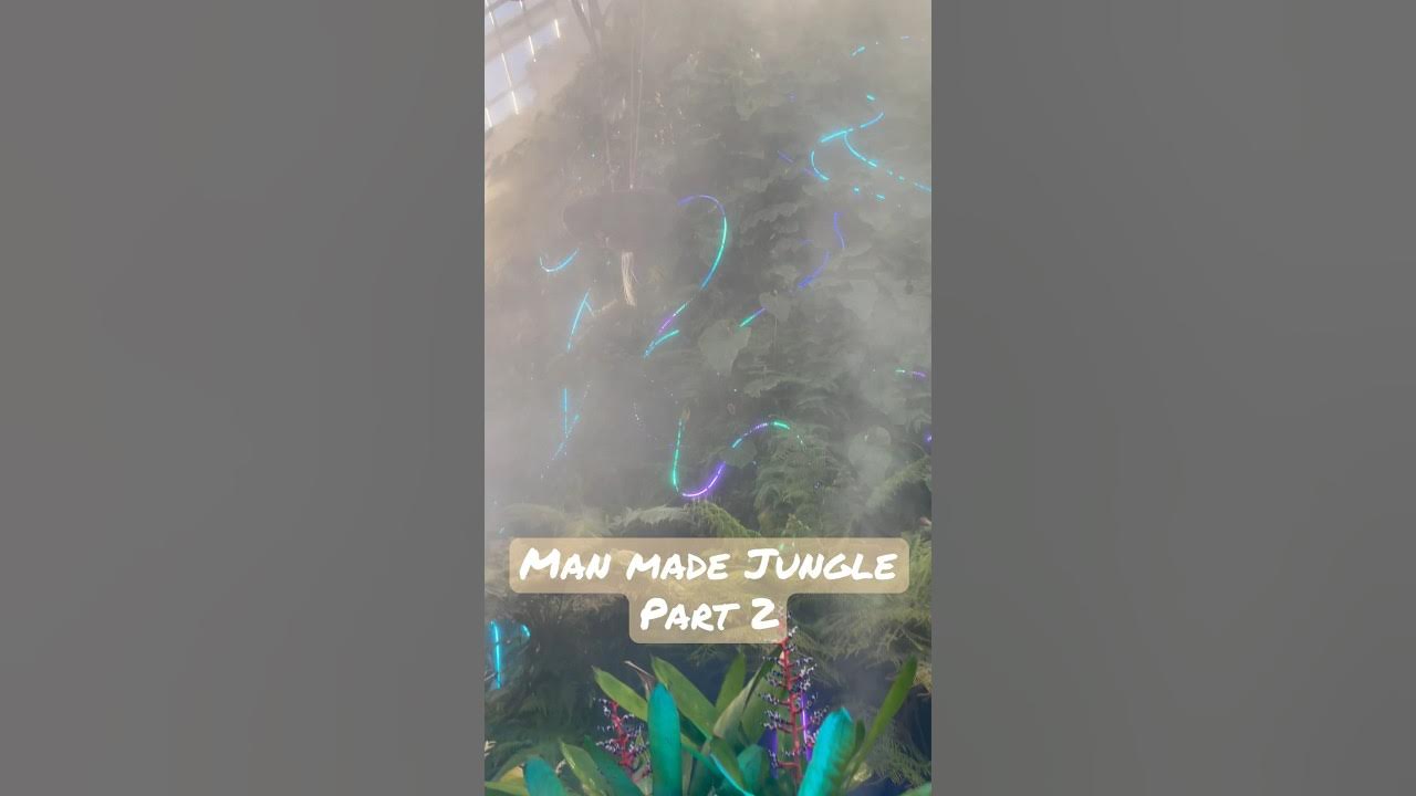 Man made Jungle Part 2 travel shortvideo traveller travelvlog singapore YouTube
