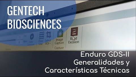 Enduro GDS-II de Labnet International: Características