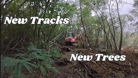 Improving Infrastructure, Homestead Evolution  - 281