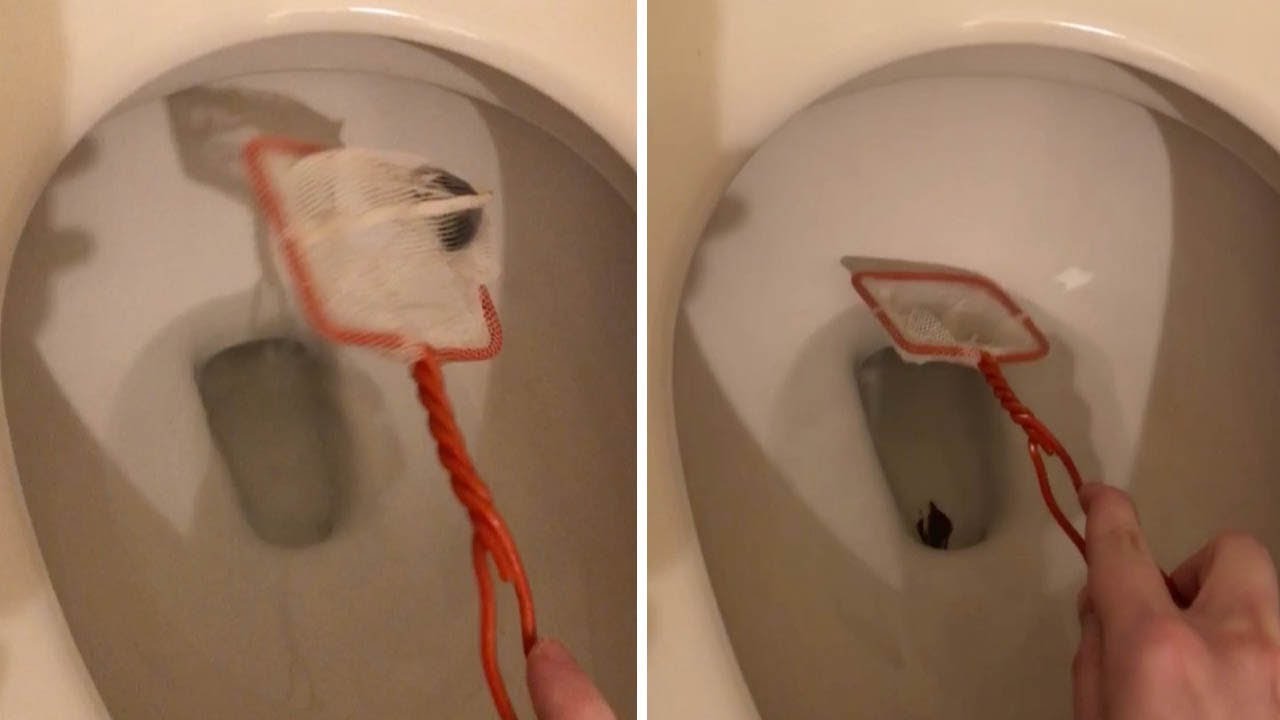 Dead' Fish Escapes Down Owner's Toilet 