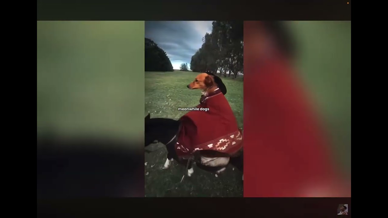 Try not to laugh (impossible)