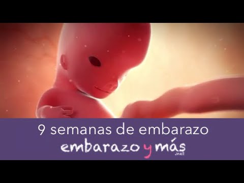 Video: 9 Semanas De Embarazo: Descripción, Tamaño Del Feto, Sensaciones