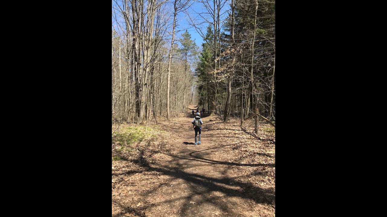 York Regional Forest, Hollidge Tract | Jude's Adventures