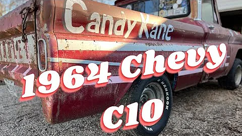 Update on Candy Kane the day after No Name Nationals 2022 #nonamenationals #candykane