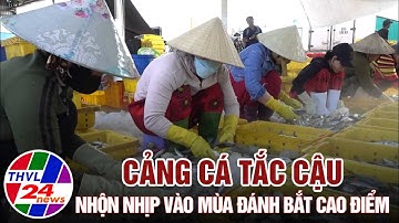 Cảng cá Tắc Cậu nhộn nhịp vào mùa đánh bắt cao điểm