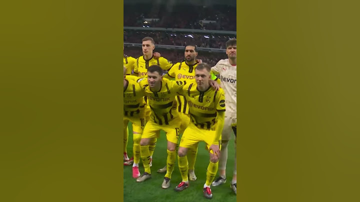 LOSC Lille - Borussia Dortmund 1:2 All Goals 12.03.2025 #football #championsleague #bvb #lille