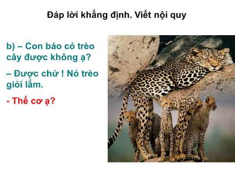 Tuần 24: TLV2 tuần 23