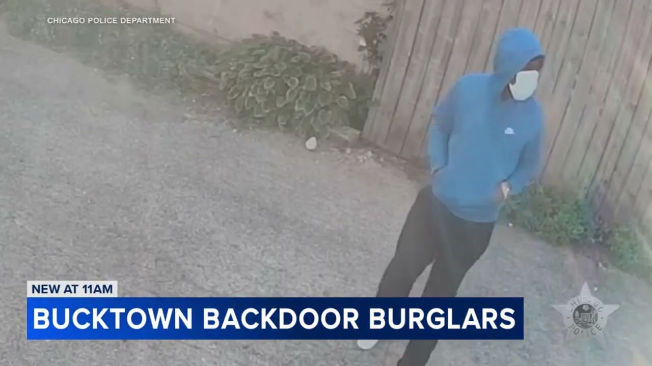 Burglars wanted for ransacking Bucktown homes