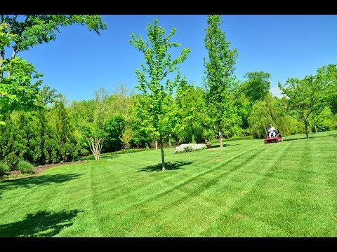 วีดีโอ: การเลือกหญ้าให้เหมาะกับสวนของคุณ - การทำสวน Know How