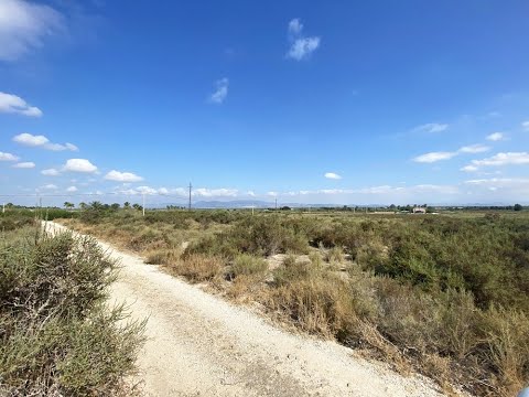 Rustic land to build of 20,000m2 in El Molar sp3926 Price: 75.000€