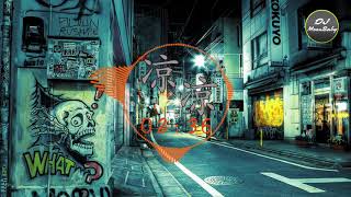 Chinese DJ 2019《涼涼 Remix》高音質 / 動態歌詞版 - DJ MoonBaby