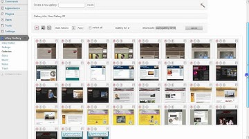 SGB Web Design - Wordpress - oQey Gallery