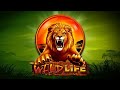 The wild life slot by igt  gameplay trailer