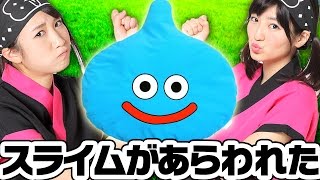 【クレーンゲーム】スライムクッション！このドラゴンクエスト景品はゲーセン限定の非売品です【ボンボンTV】