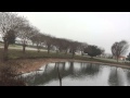 Dog training Newport - Dog trainers tips Newport Dog training Newport - Dog trainers tips Newport