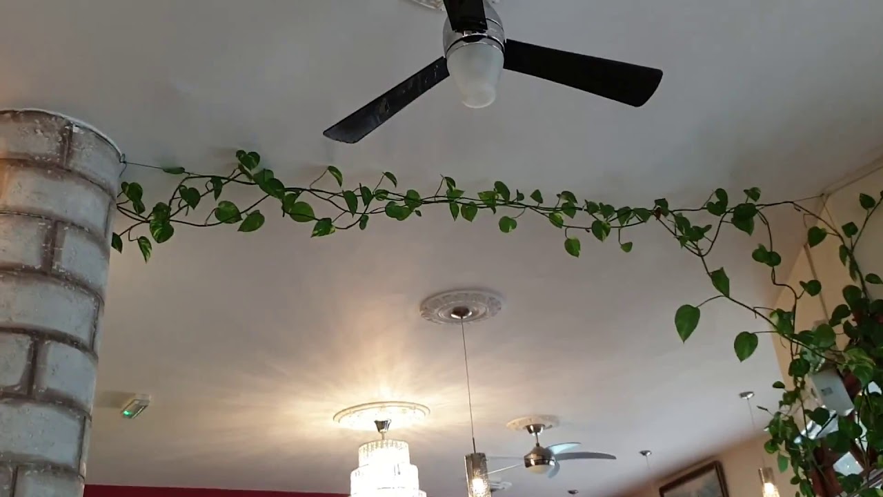 Shek ceiling fans at Turkish grill house, Cheadle YouTube