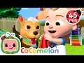 Baby JJ Gives Bingo A Bath! | CoComelon | Sing Along | Learn about Animals