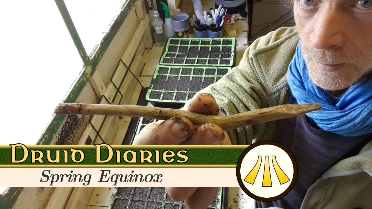 Druid Diaries - Spring Equinox 2021