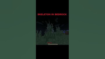 skeleton in java vs bedrock #minecraft #minecraftmeme #memes #gaming