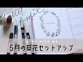 【バレットジャーナル】ボールペンで描く簡単なお花を沢山描く5月のセットアップ。PLAN WITH ME