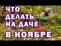 САД и ОГОРОД в ноябре 🍁 Осенние работы в саду, огород, дачные советы на НОЯБРЬ / ГороскопПрогноз