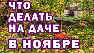 САД и ОГОРОД в ноябре 🍁 Осенние работы в саду, огород, дачные советы на НОЯБРЬ / ГороскопПрогноз