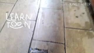 Próximamente Learntoon