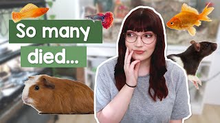 My experience working in a chain pet store... it was bad